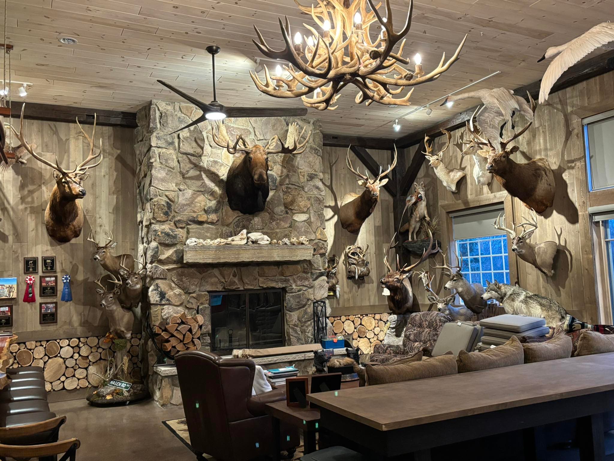 A trophy room with mounted wildlife displays.